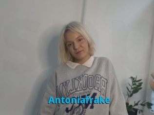 Antoniafrake