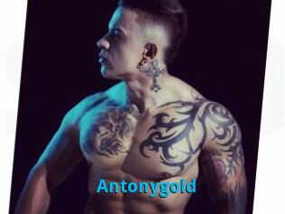 Antonygold