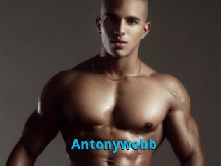 Antonywebb