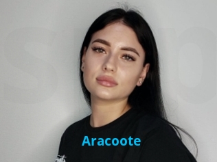 Aracoote