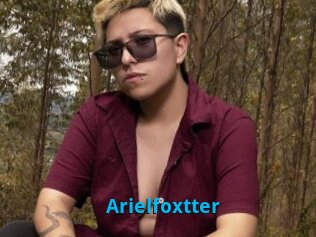 Arielfoxtter