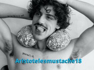 Aristotelesmustache18