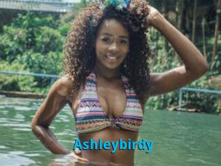 Ashleybirdy