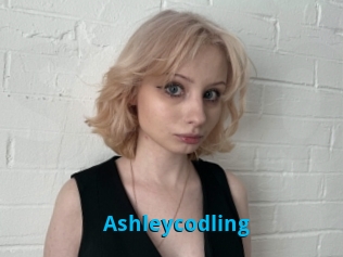 Ashleycodling