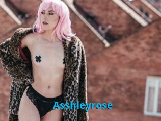 Asshleyrose