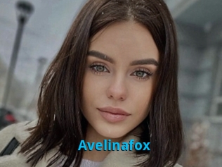 Avelinafox