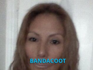 BANDACOOT