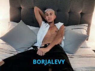 BORJALEVY