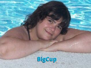 BigCup