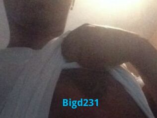 Bigd231