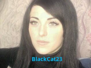 BlackCat23