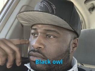 Black_owl