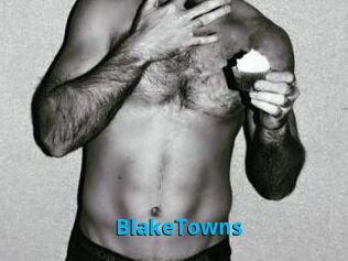 BlakeTowns