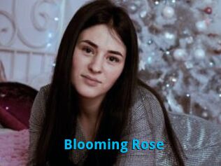 Blooming_Rose