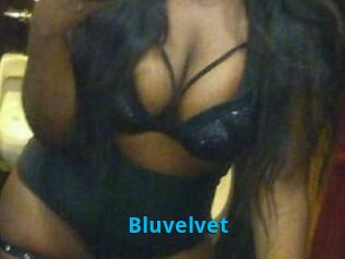 Bluvelvet