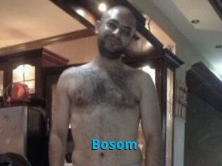 Bosom