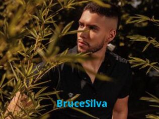 BruceSilva