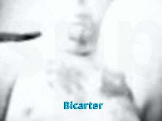 Bicarter