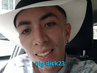 Big_dick23