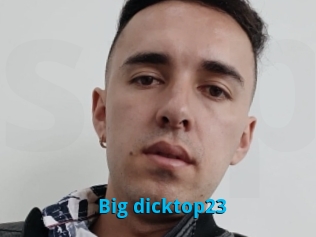 Big_dicktop23