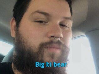 Big_bi_bear