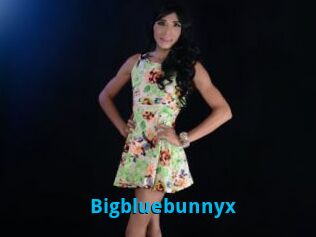 Bigbluebunnyx