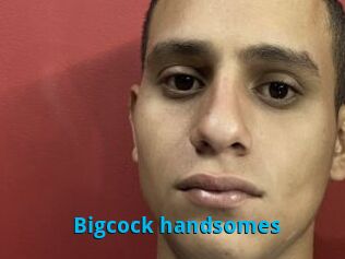 Bigcock_handsomes