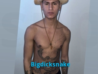 Bigdicksnake