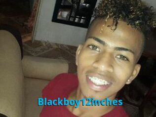 Blackboy12inches