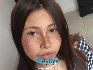 Bleydys