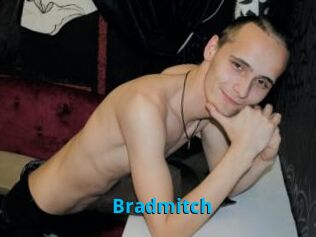 Bradmitch