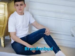 Brandonbud