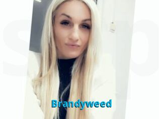 Brandyweed