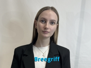 Breegriff