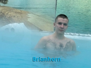 Brianhorn