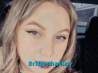 Bridgetharkey