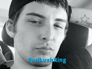 Budkushking