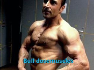 Bull_dosemuscles