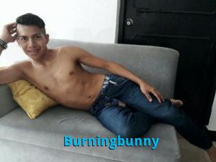 Burningbunny