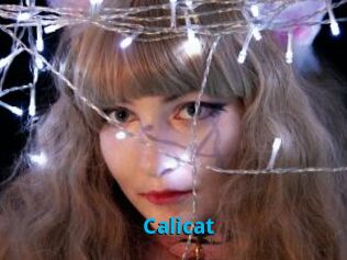 Calicat