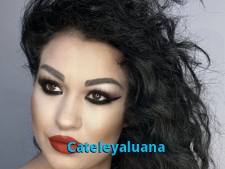 Cateleyaluana