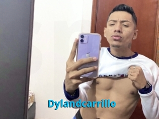 Dylandcarrillo