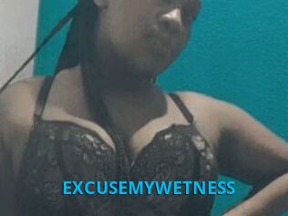 EXCUSEMYWETNESS