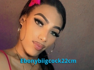 Ebonybiigcock22cm