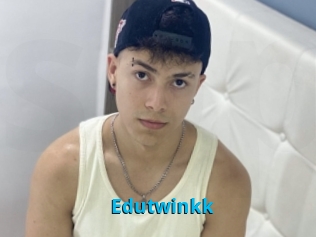 Edutwinkk