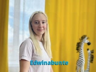 Edwinabunte