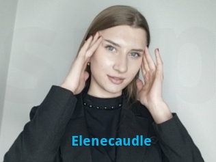 Elenecaudle