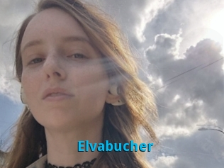 Elvabucher