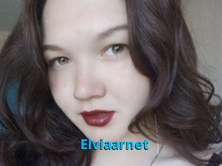 Elviaarnet