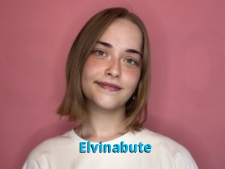 Elvinabute